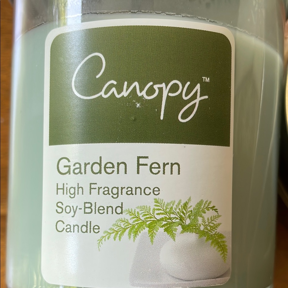 Canopy Green and Silver Jar Candle - Picture 2 of 4